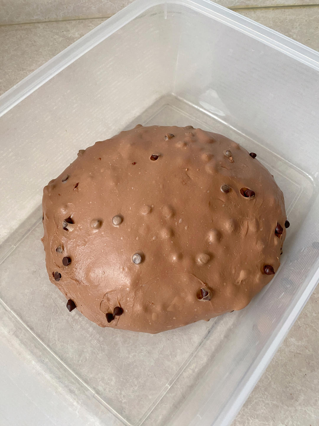 我的🍞日志