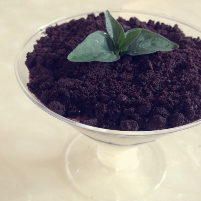 酸奶盆栽/继续延续小清新风/治愈系甜品