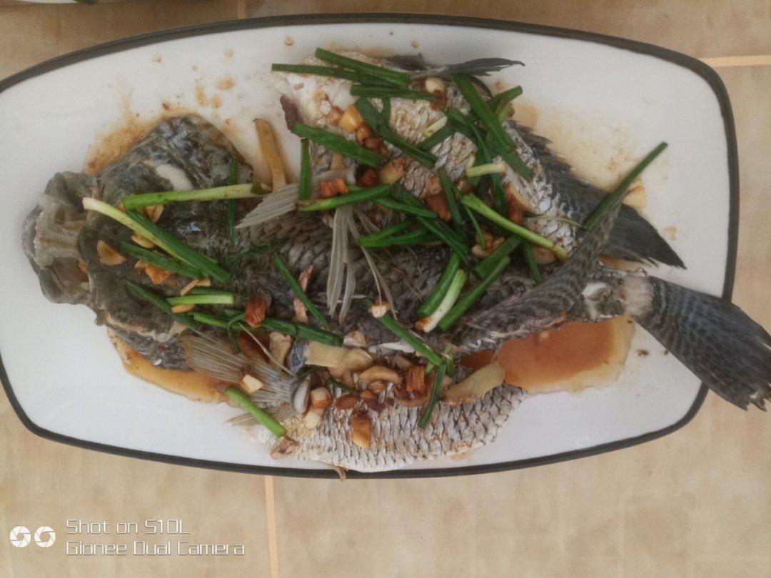 新手零失败的清蒸鲈鱼