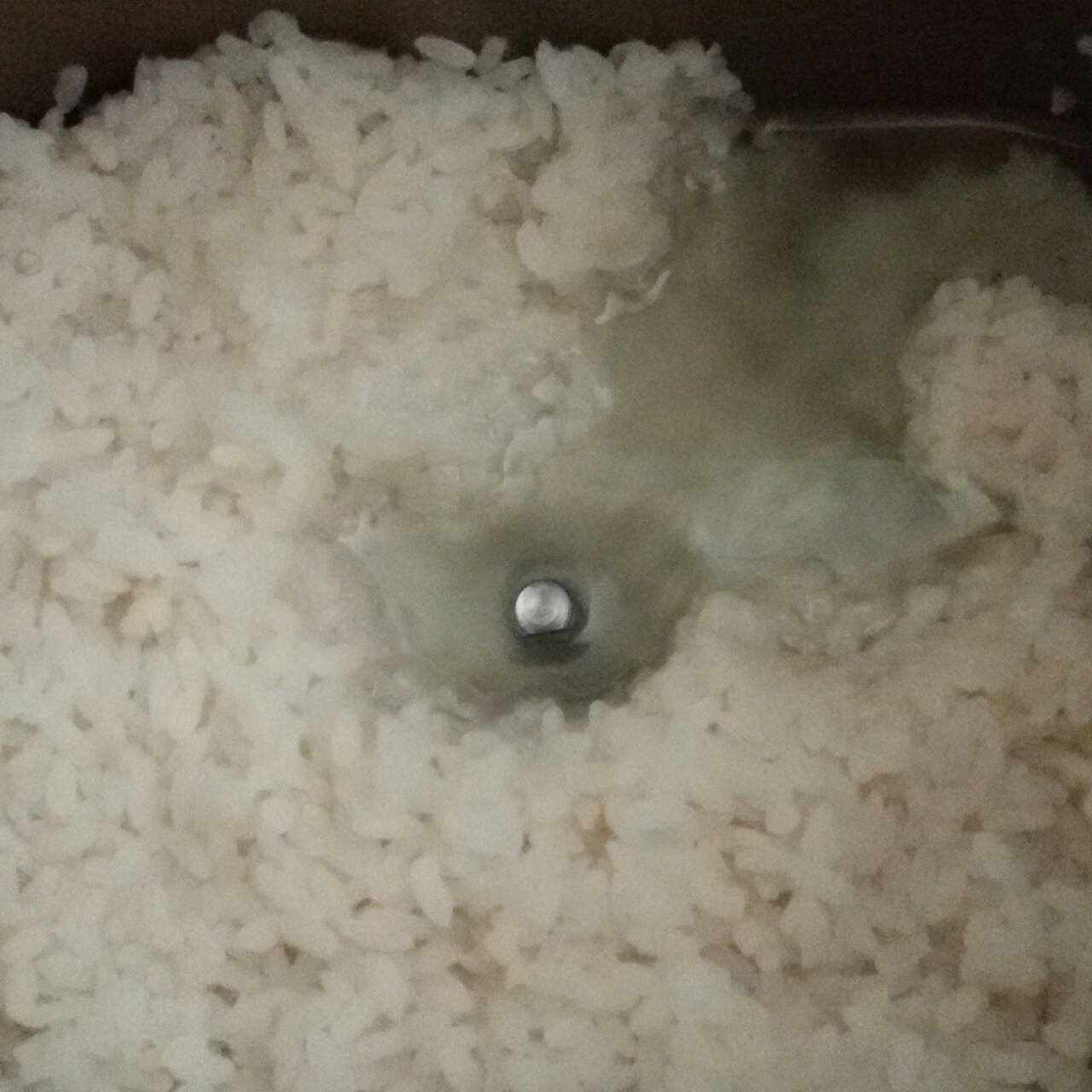 米酒，酒酿，醪糟