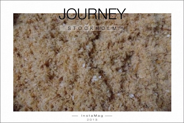 自制宝宝肉松 面包机外加烤箱