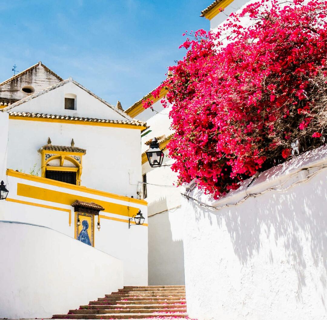 颖麻麻的美食日记