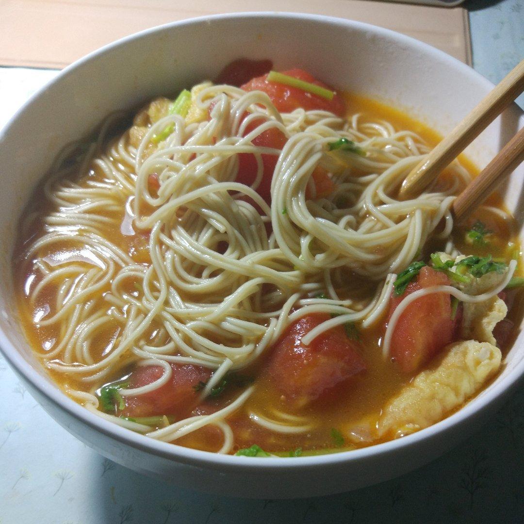 投食做的最家常的普通汤面——西红柿鸡蛋龙须面