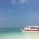 Helenliang821