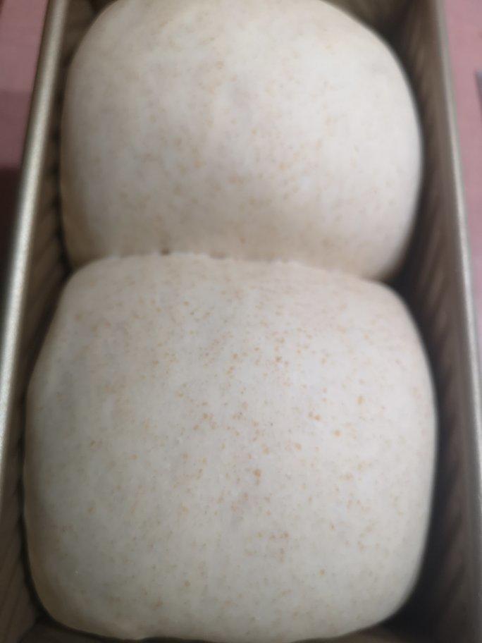 全麦吐司（70%冷藏中种法）