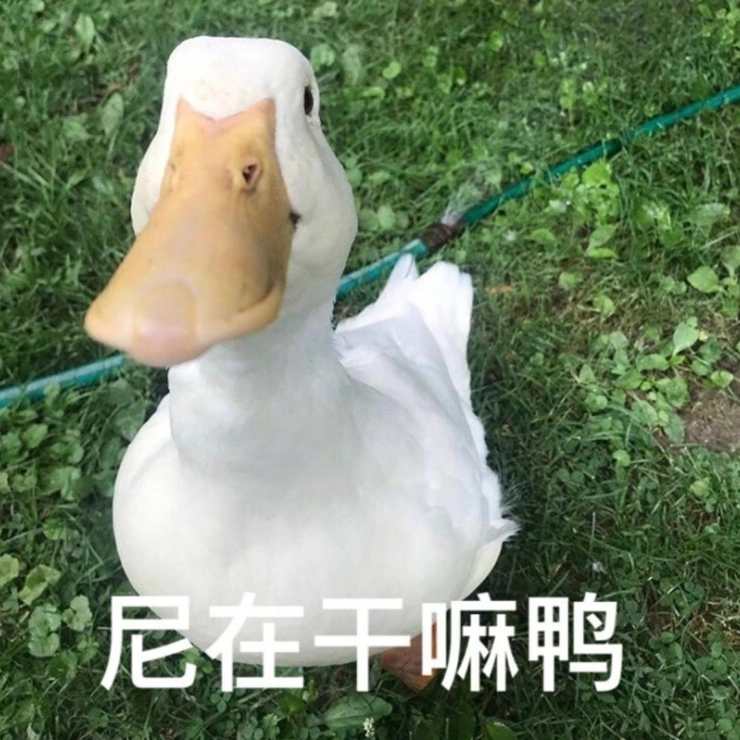 睡不着起不来呀