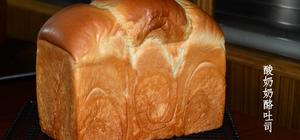 面包进阶特辑—寻找绝妙面包体之路的封面