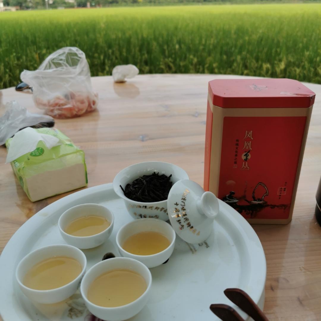 凤凰单丛茶Jessica