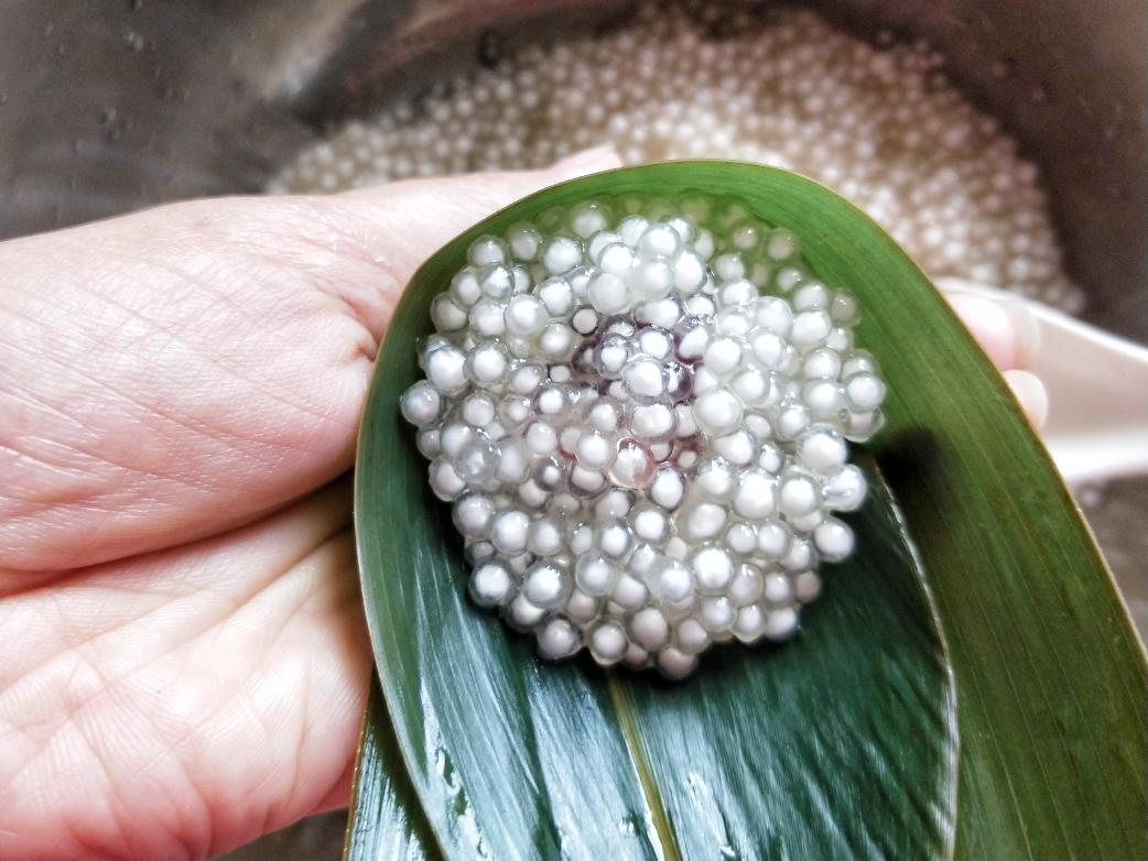 西米水晶粽的做法 步骤14