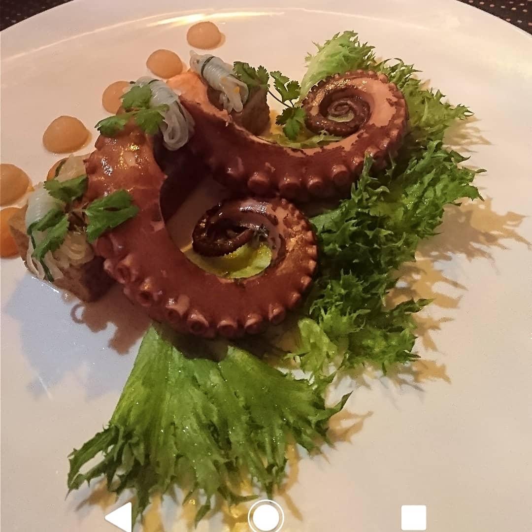 紅白人蔘八爪魚
一物三食