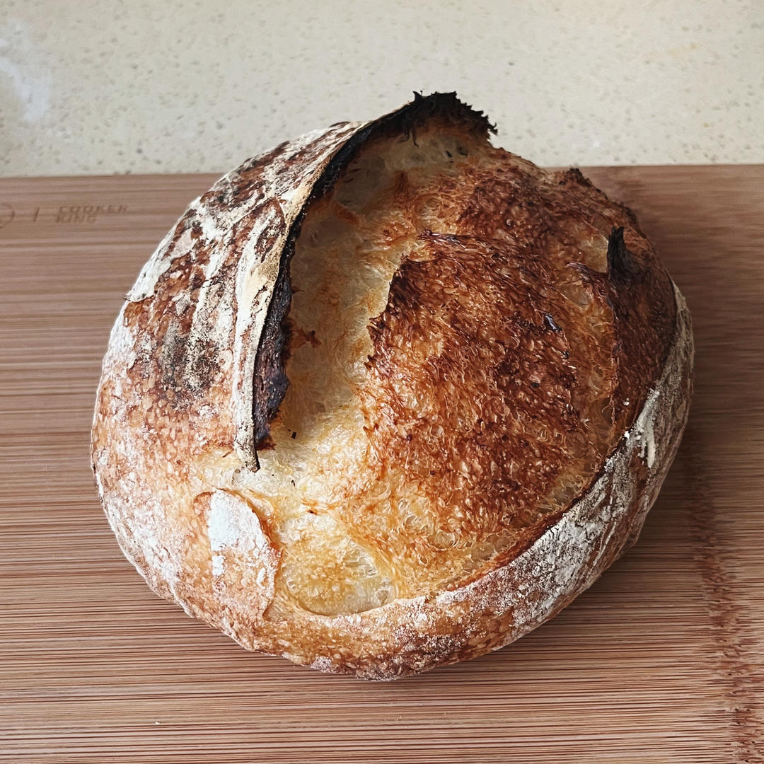Sourdough Showroom