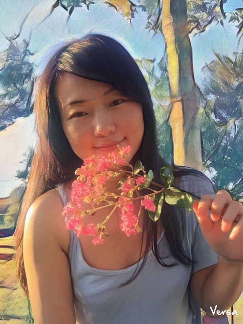 禾苗与稻田