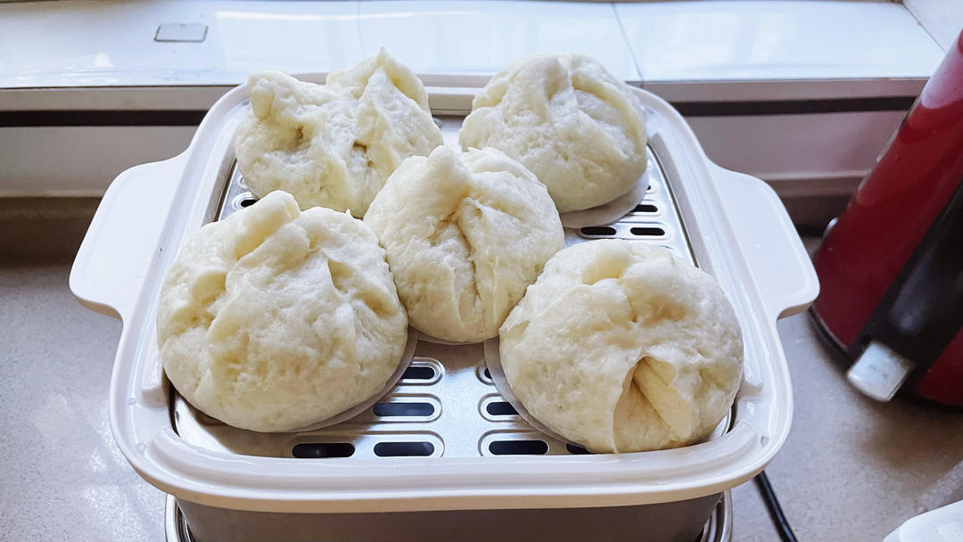 广东叉烧包
