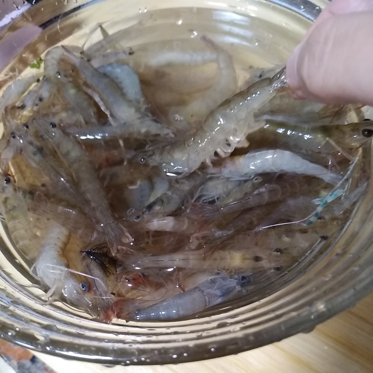 韭菜苔炒小虾子的做法 步骤1