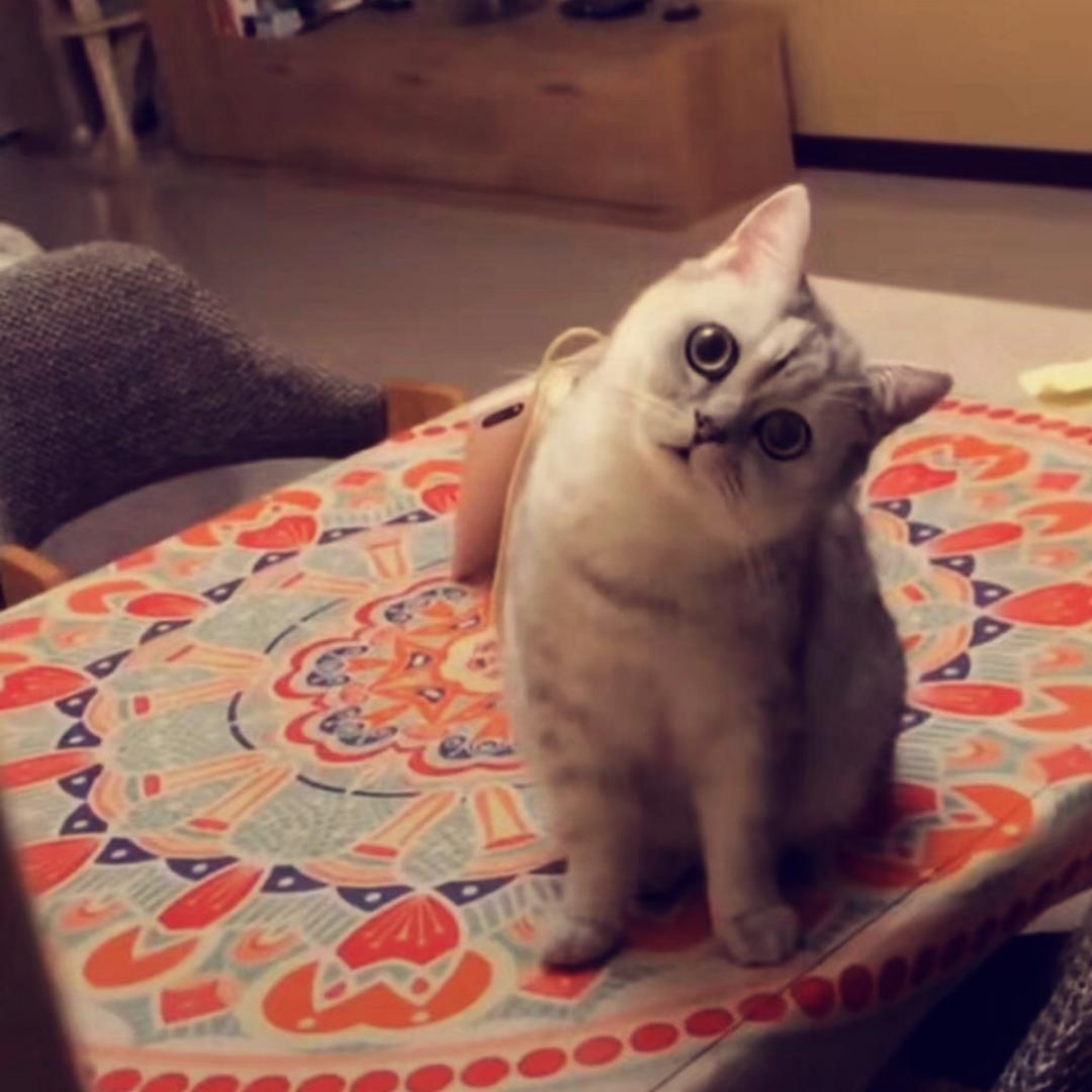 都要好好吃饭好好生活
