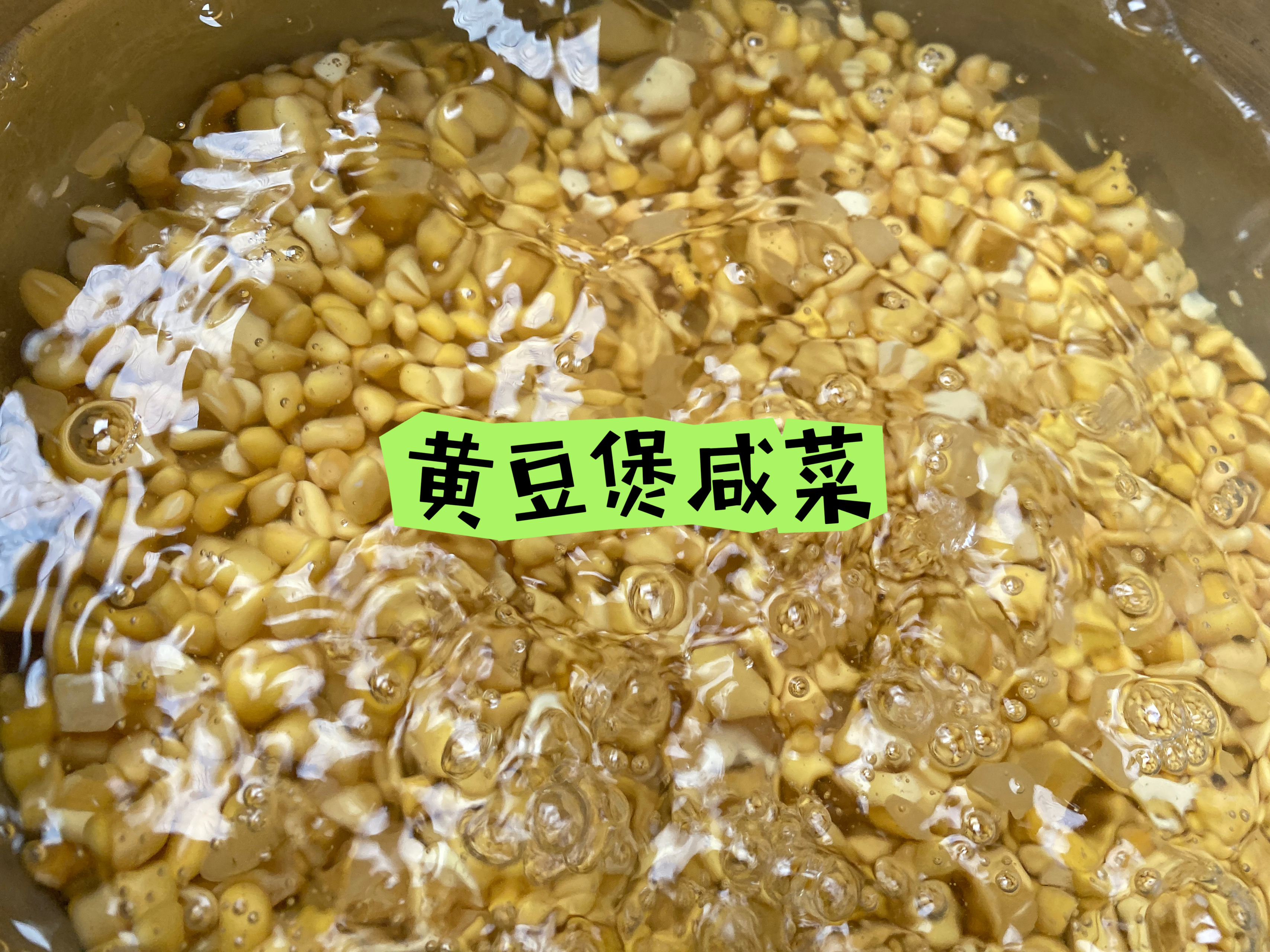黄豆咸菜煲 高压锅版 潮汕版