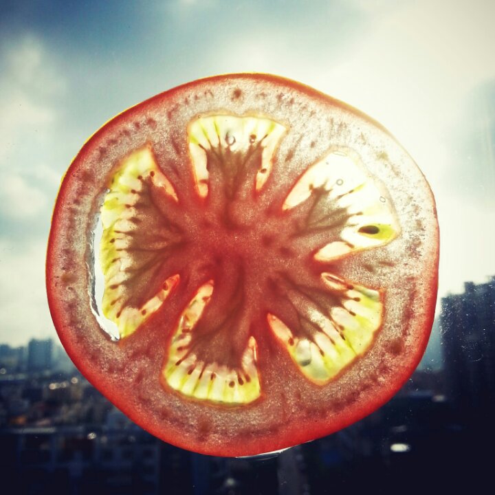 不辜负的手艺