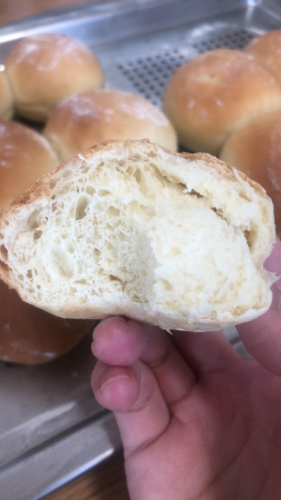 一次发酵，松软拉丝的牛奶小餐包