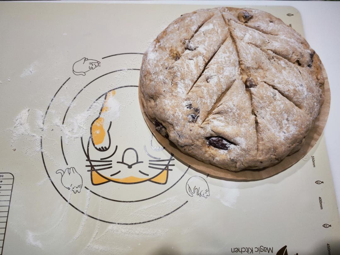 全麦蔓越莓核桃软欧包