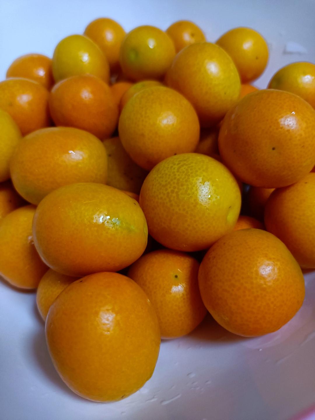 止咳化痰-金桔膏