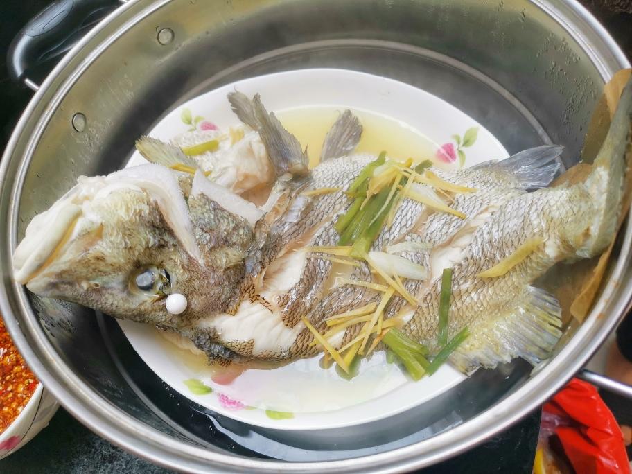 【清蒸黑包公鱼的做法步骤图，怎么做好吃】胖鼠家_下厨房