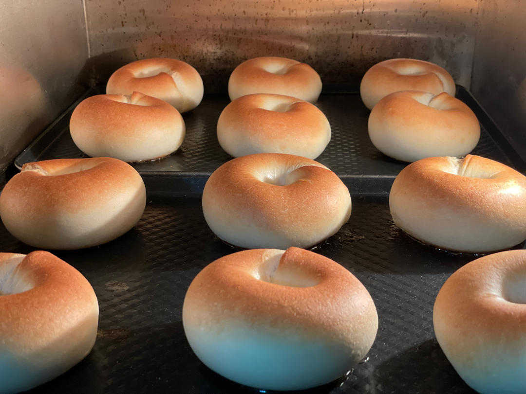 豆乳奶盐贝果