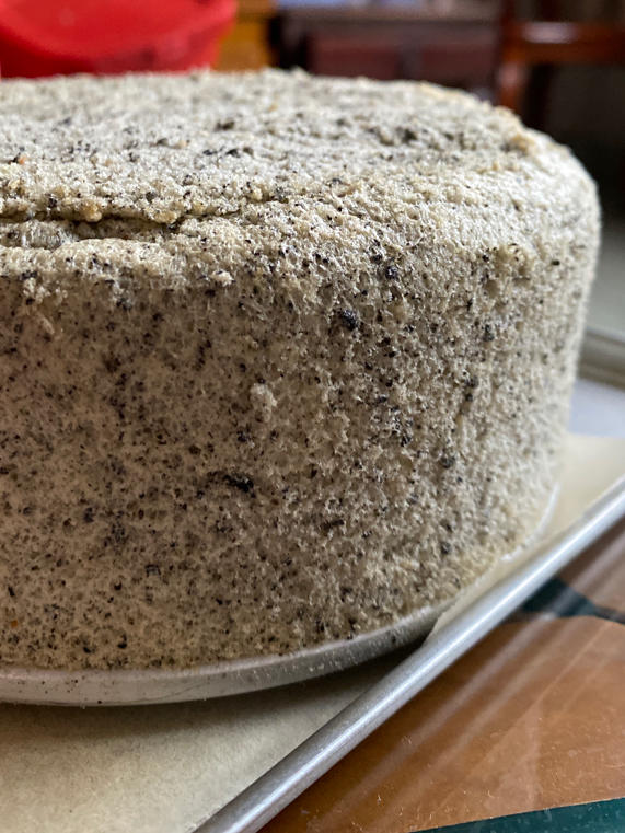 我的小戚风生长史