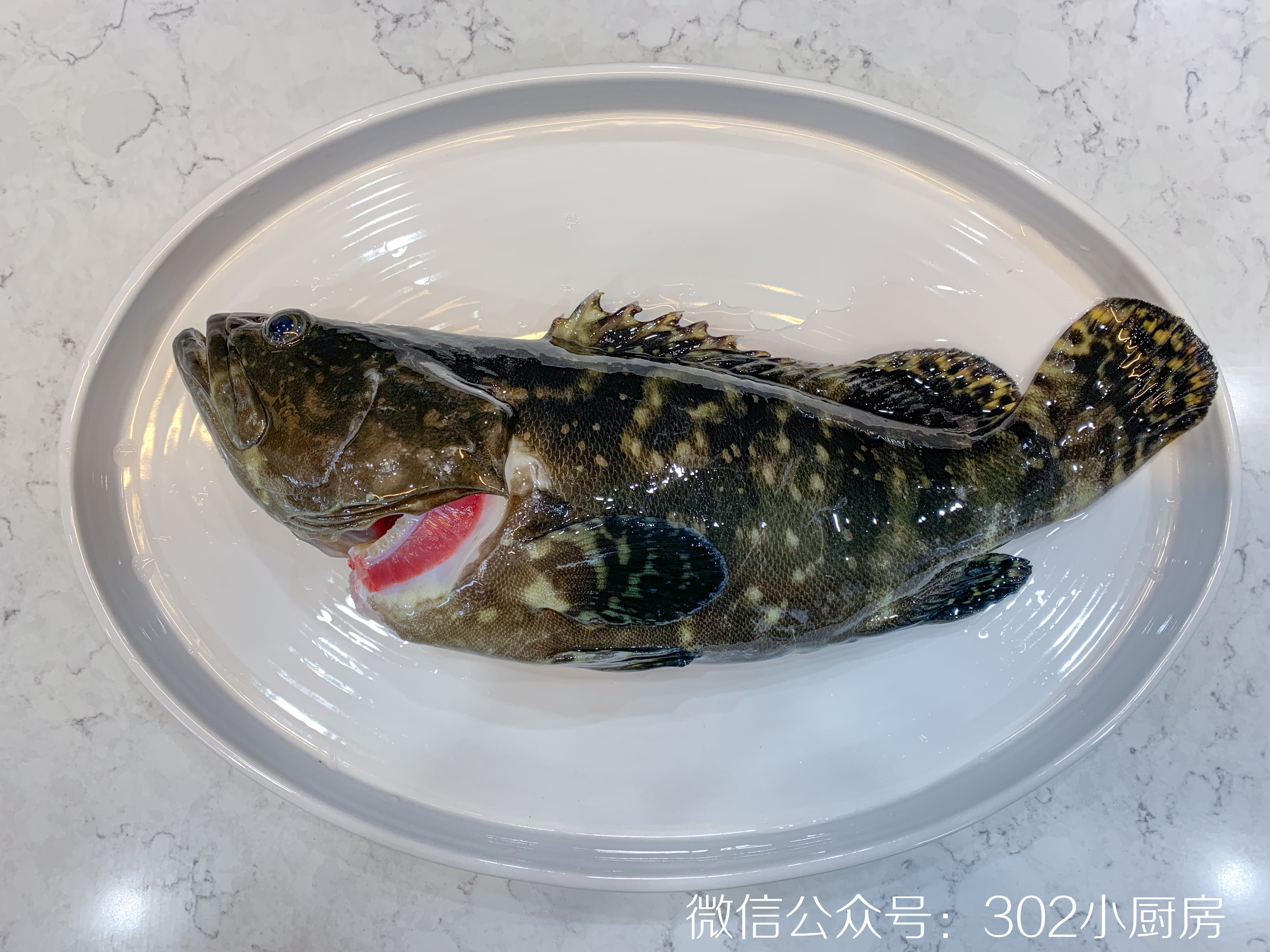 【0444】清蒸石斑鱼（含蒸鱼豉油做法） <302小厨房>的做法 步骤9