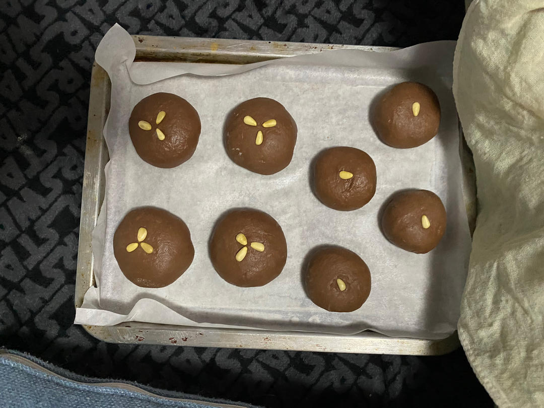 一口浓郁满足，巧克力豆豆面包（波兰种）