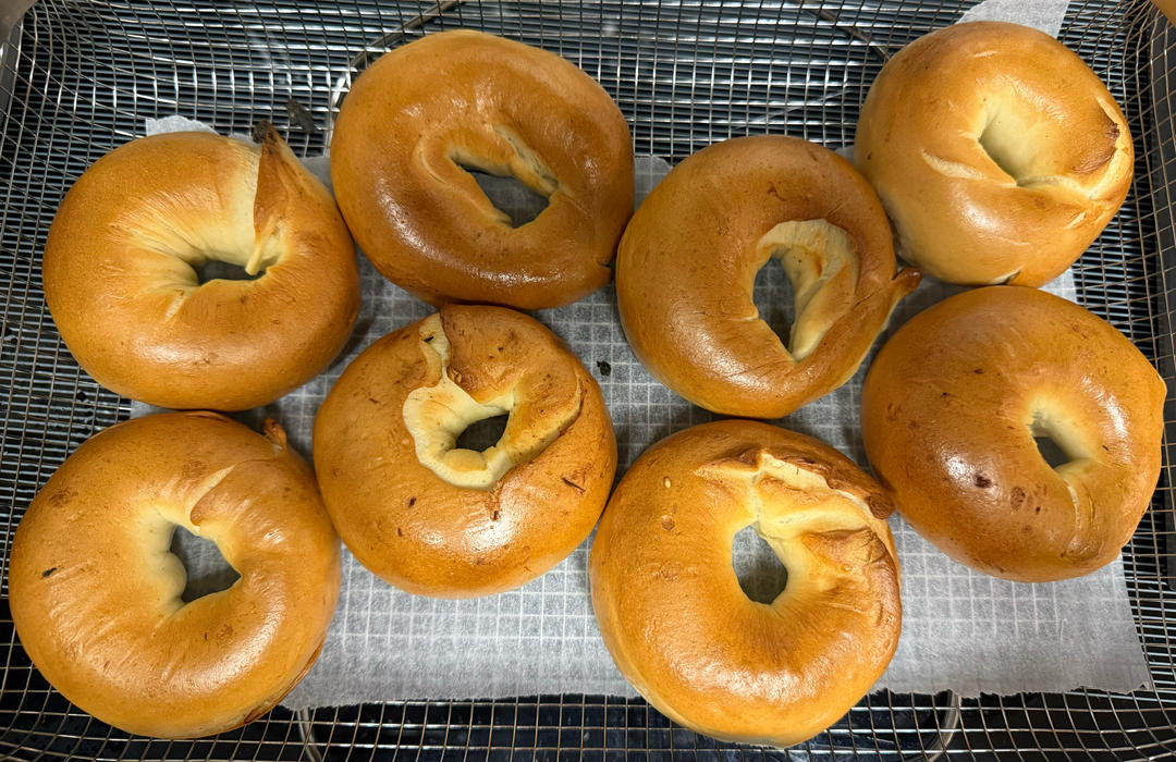 基础奶香贝果&蜜豆乳酪贝果