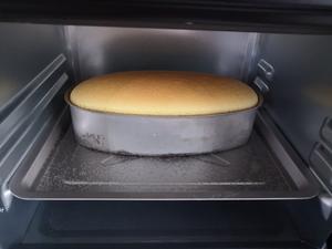 空气感轻乳酪蛋糕的做法 步骤11