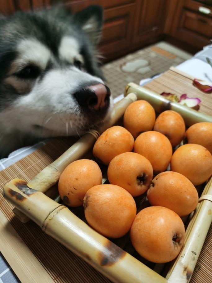 步骤图 秒吃枇杷的做法 秒吃枇杷的做法步骤 菜谱 下厨房