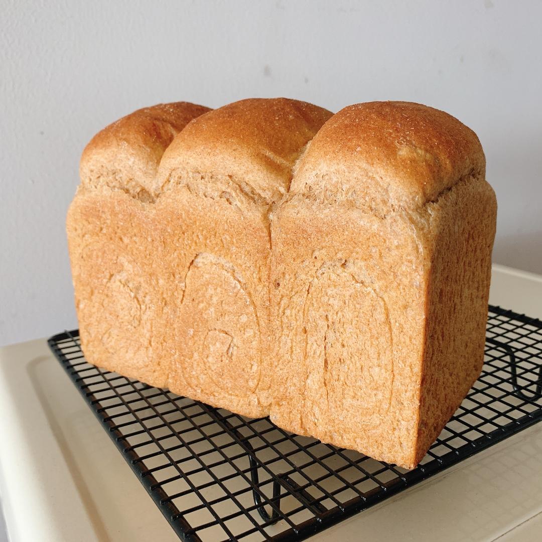 双种芝麻全麦吐司 100%全麦 烫种+波兰种