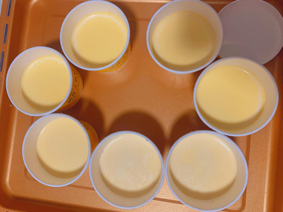 私房爆火的奶皮子酸奶来咯～