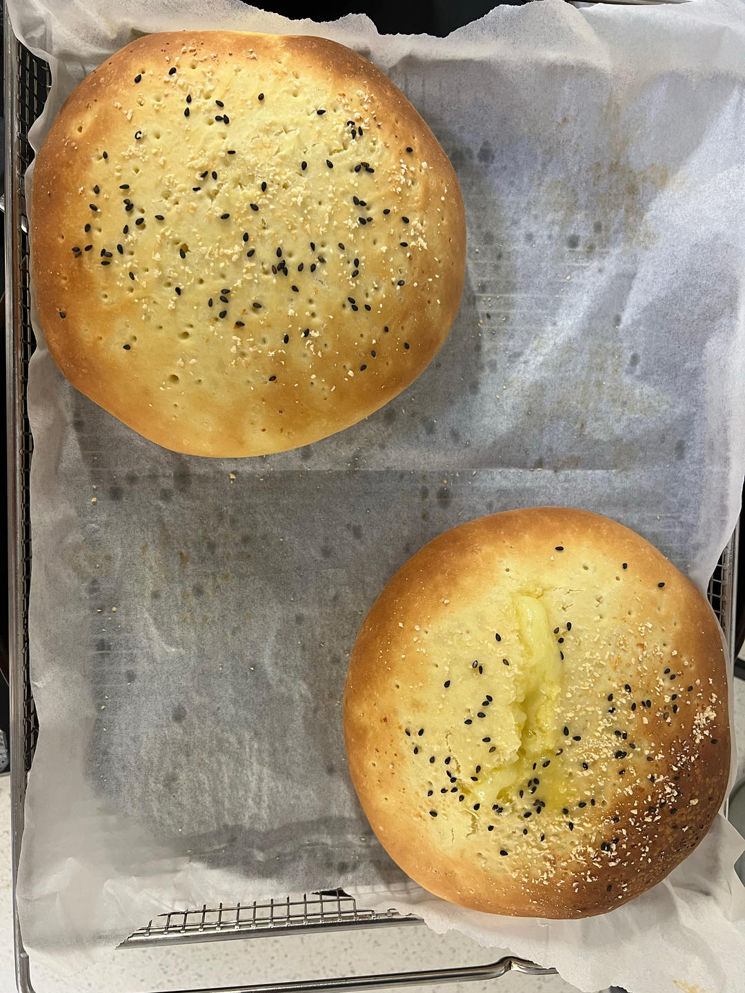 蒙古奶酪包👩‍🍳