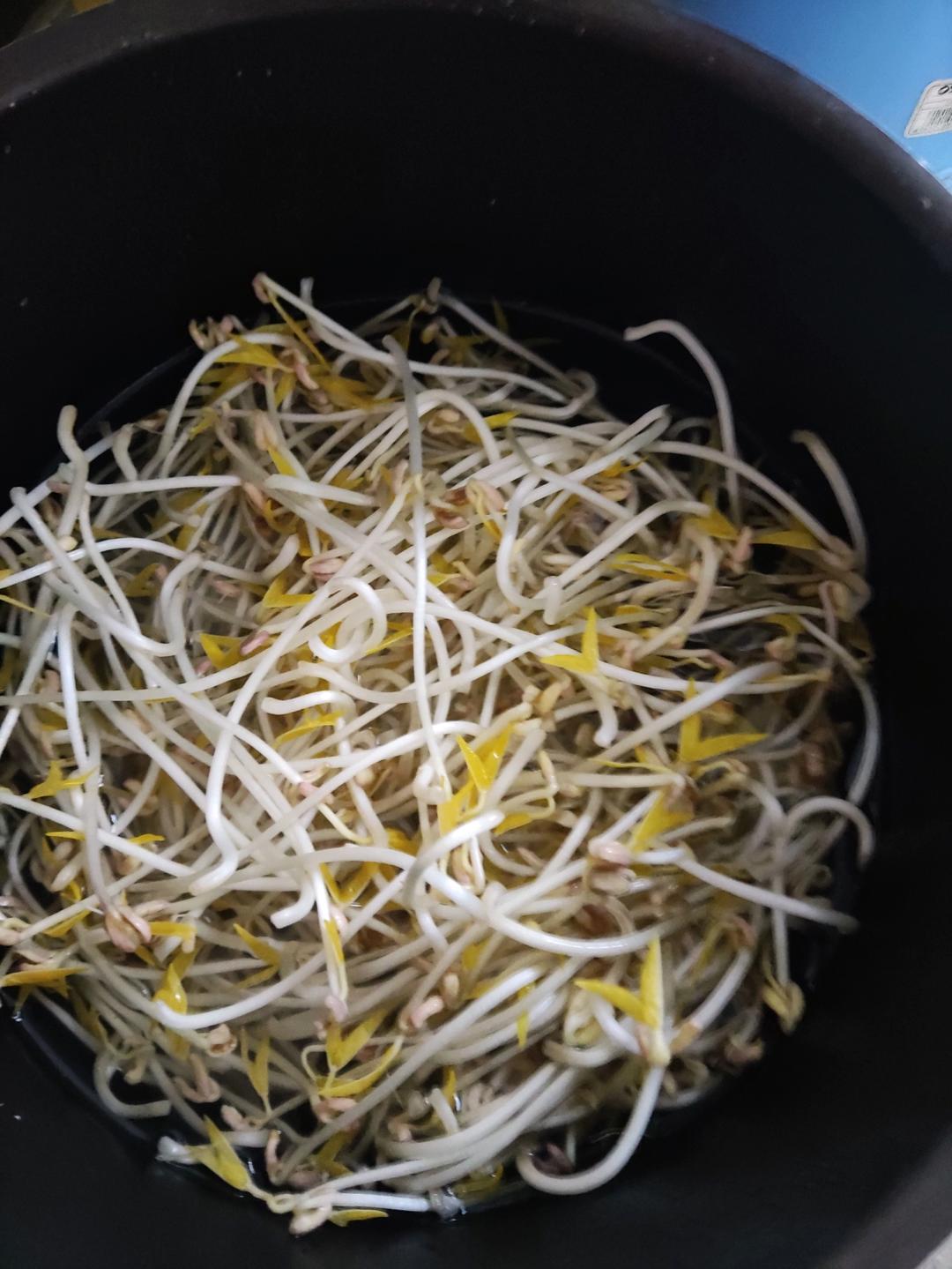 超简单水壶发豆芽