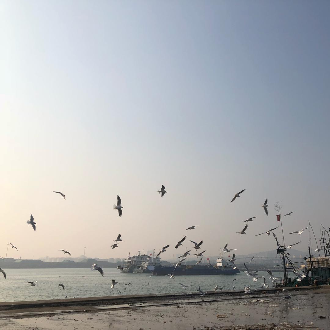 海边老友
