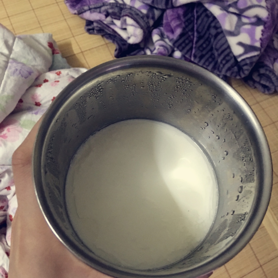 自制老酸奶