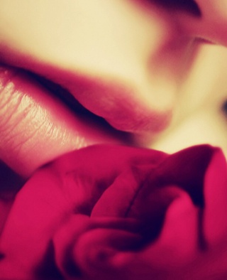 lucy_lq
