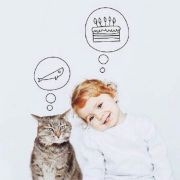 momo_clx