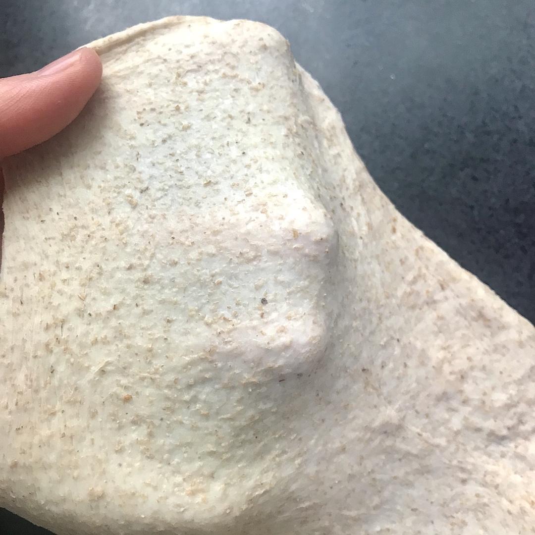 【干货】隔夜冷藏法轻松快速手揉手套膜🍞超简单