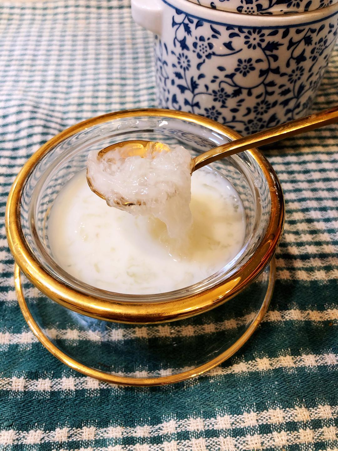 牛奶燕窝的做法