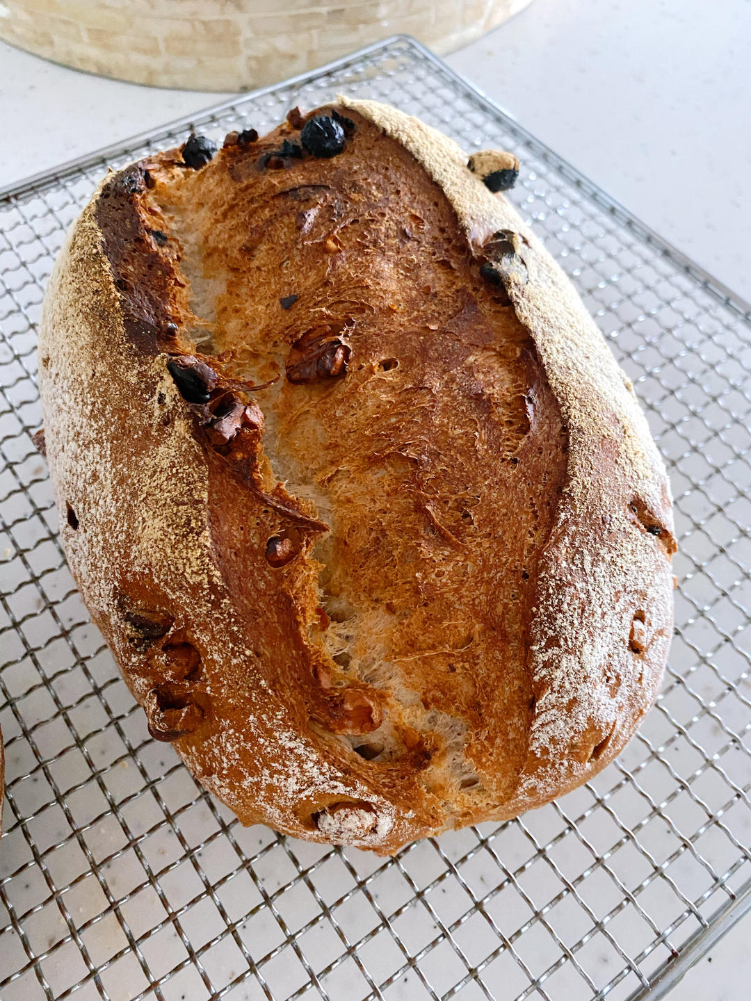 全麦核桃蔓越莓欧包（附整形详细手法）