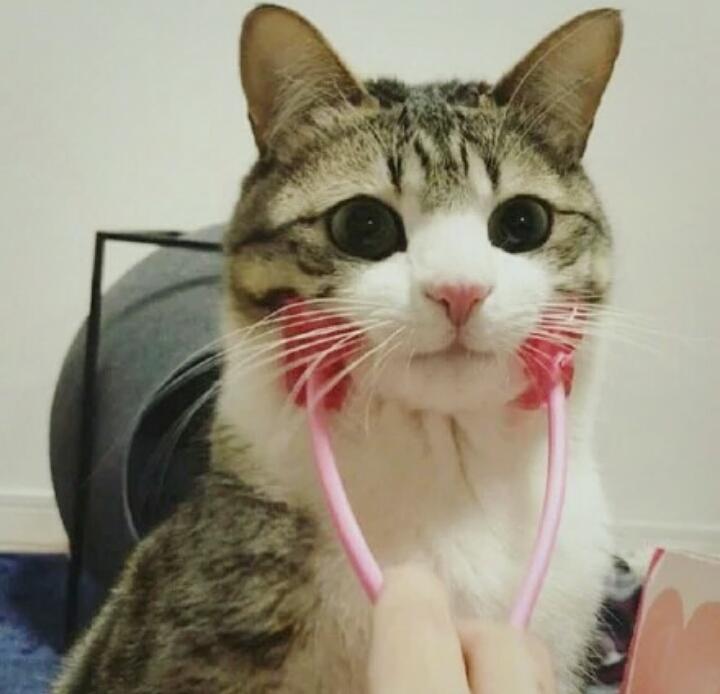 阿啾怪