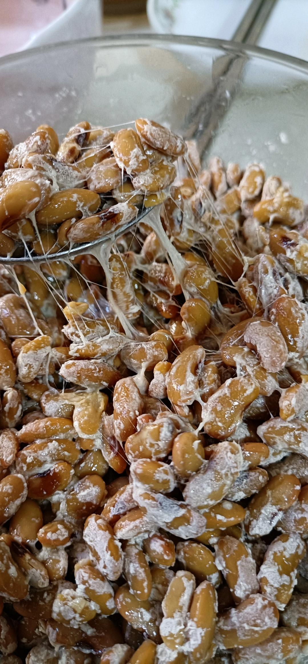 自制纳豆零失败超详细