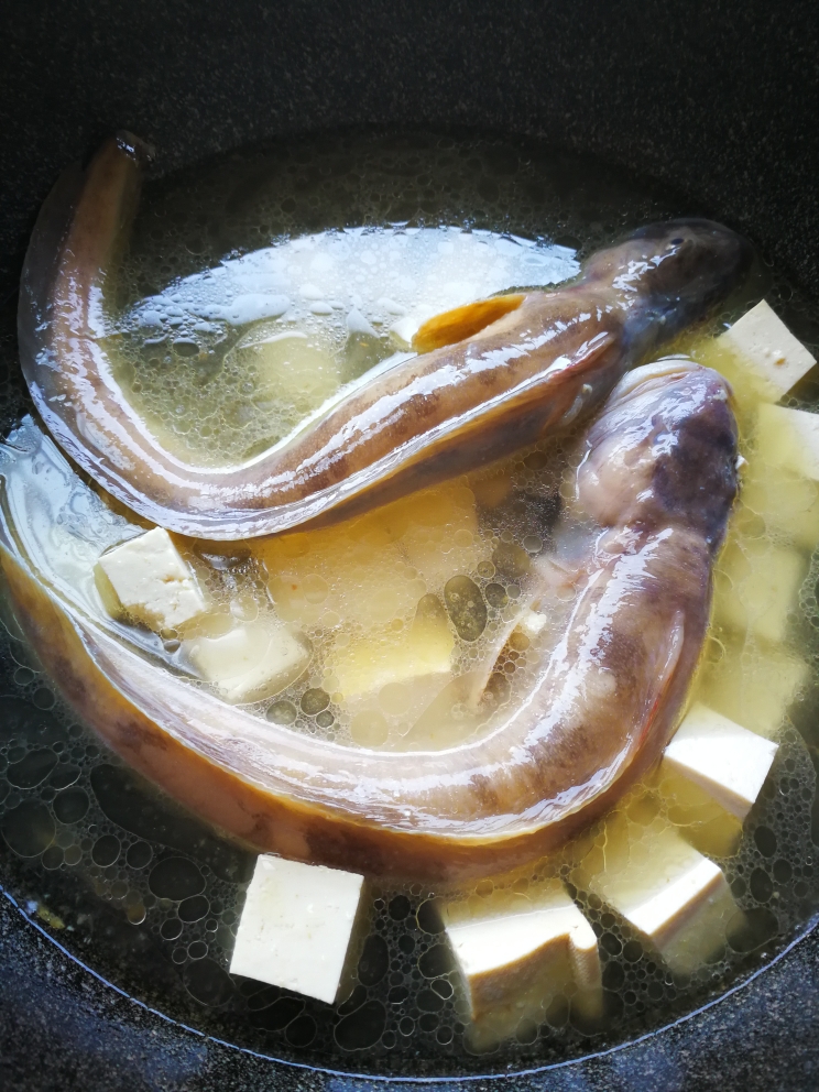 海鲶鱼炖豆腐的做法 步骤7