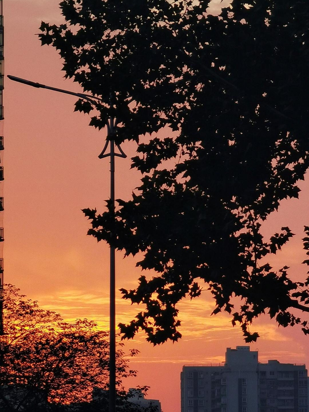 不言不语都是好风景