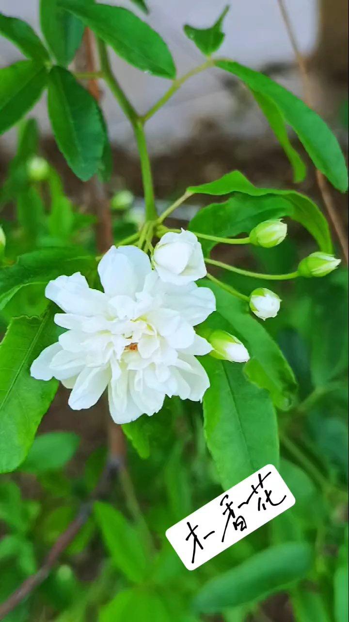 生活碎记