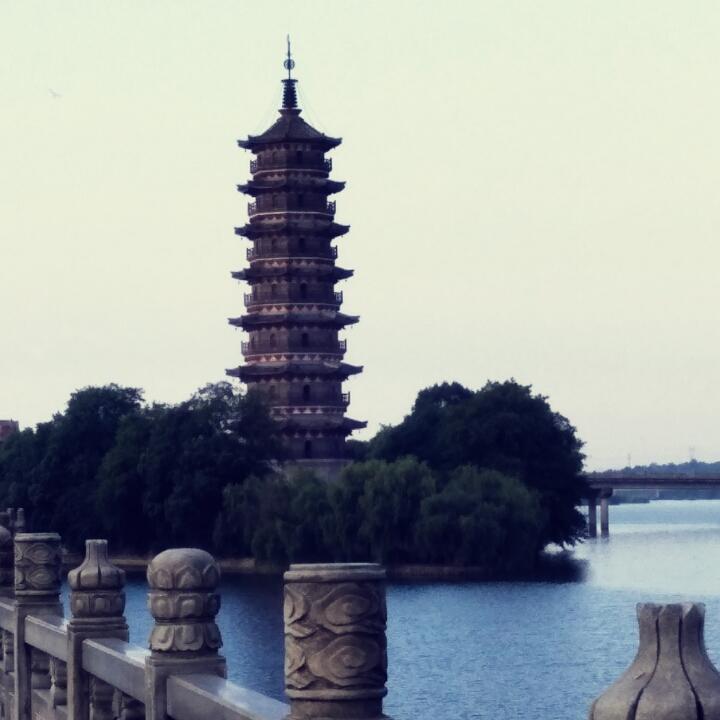 MS刘华