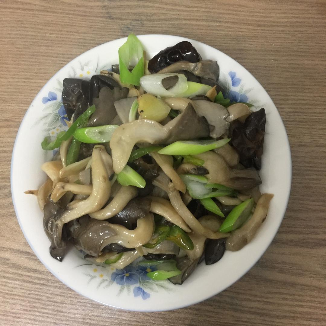 雨过天晴-54做的平菇炒木耳